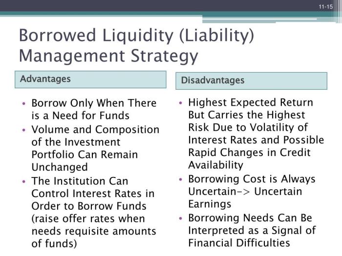 Liquidity management strategy borrowed policies reserve strategies liability ppt powerpoint presentation