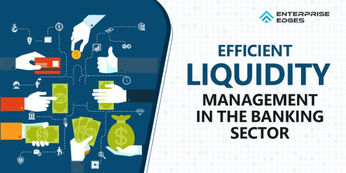 Liquidity management banking industry efficient sector objective